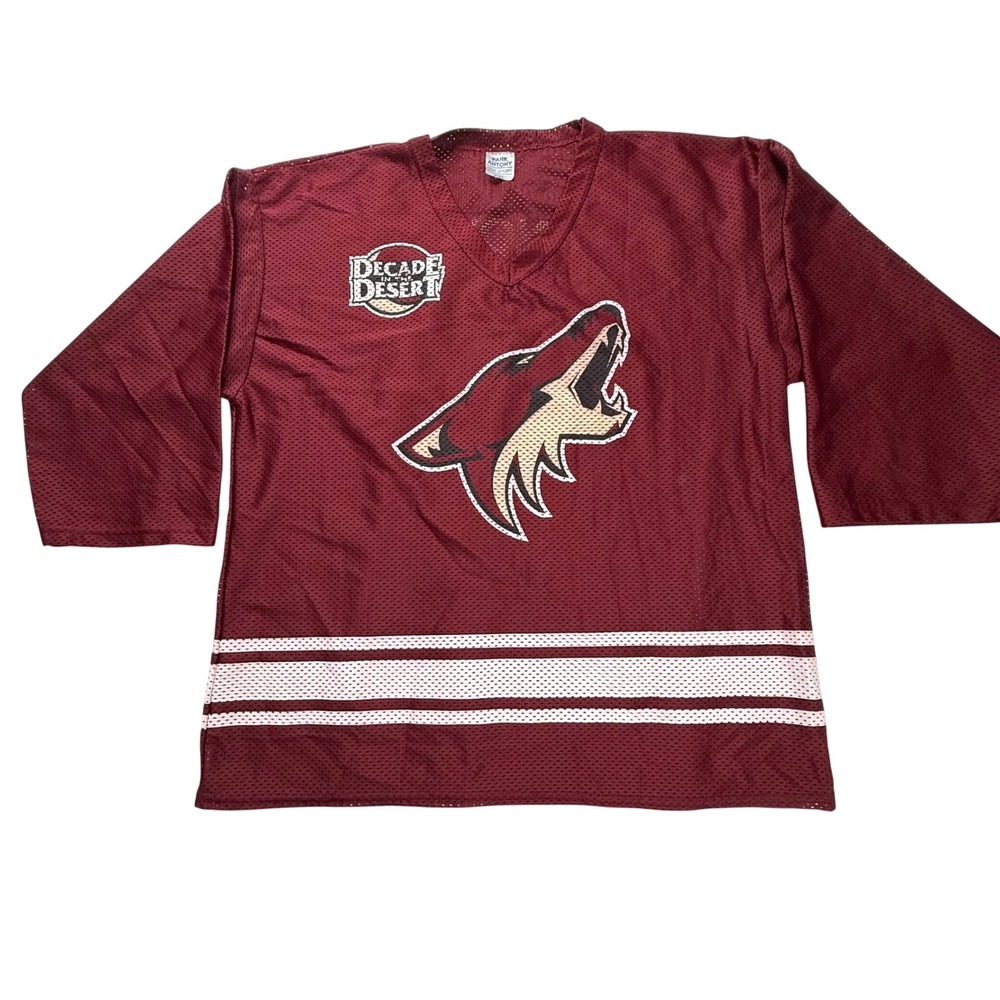 Vintage Phoenix Coyotes Jovanovski 55 Jersey Park Antony XXL Decade InThe Desert